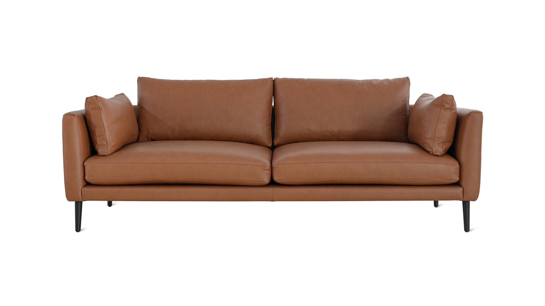 Stay A While Sofa 2.5 Seater Cigar