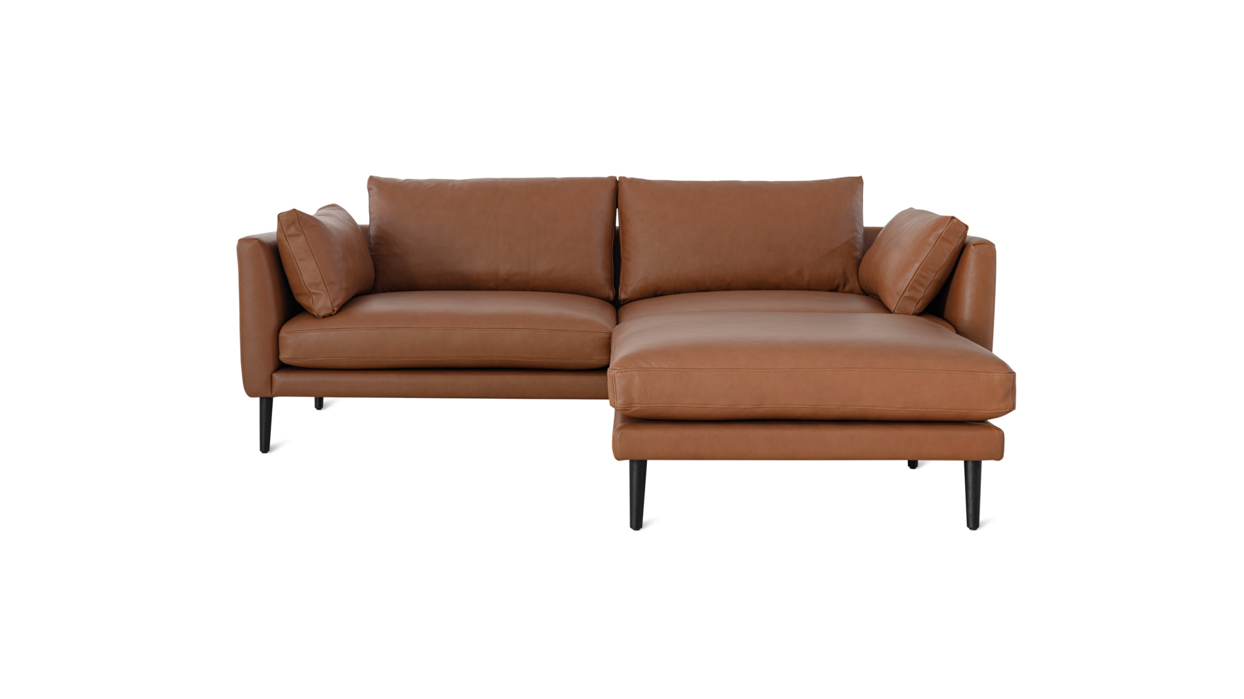 905 2.5 Seat 2 Cushion Sofa